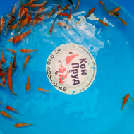 Карп Кои Микс 4-6 см 