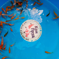 Карп Кои Микс 4-6 см 