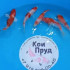 Карп кои Кохаку (красно-белые) 6-8 см  Карп кои Кохаку (красно-белые) 6-8 см