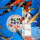 Карп кои премиум  израиль 14-20 см 