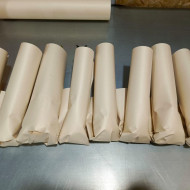 Колоказия Lemon lime gecko - Лимон лайм геккон 