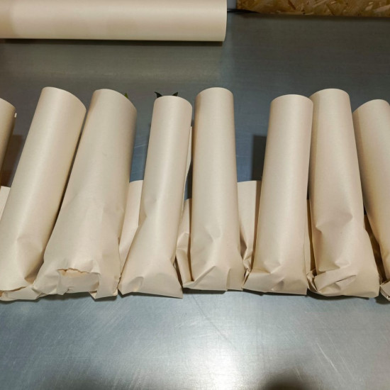  Колоказия  Suksathit pink No.3    МАТОЧНИК Оригинал