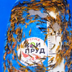 Карп Кои Микс -Кабуто, золото гин рин, зелёные, цветные 3-5 см 