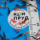 Карп Кои Микс -  шисуи - асаги -ямабуки -платина -дойцу кохаку -огонь т.д.  5-7 см 