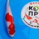 Карп Кои Израиль премиум класса Kohaku - 20см "Лот4"