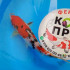 Карп Кои Израиль селекция премиум Sanke - 20см "Лот 5"