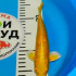 Карп Кои Израиль селекция премиум Ямабуки - 21см "Лот 8"