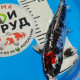 Карп Кои Израиль селекция премиум Matsukawabake - 25см "Лот 9"