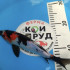 Карп Кои Израиль селекция премиум Шова - 26см "Лот 16"